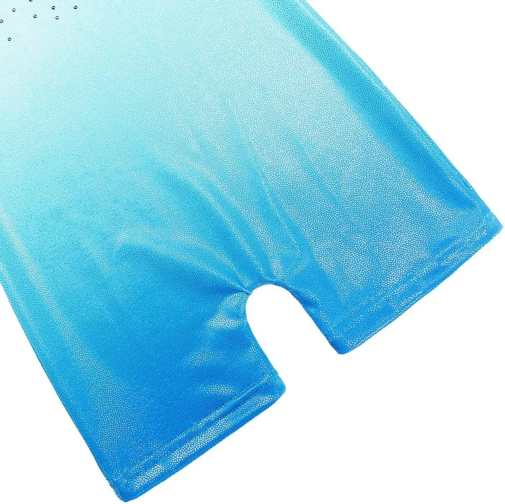 BAOHULU Gymnastics Leotards for Toddler Girls Long Sleeve Sparkle Stripes Tank Biketards Dance Unitards